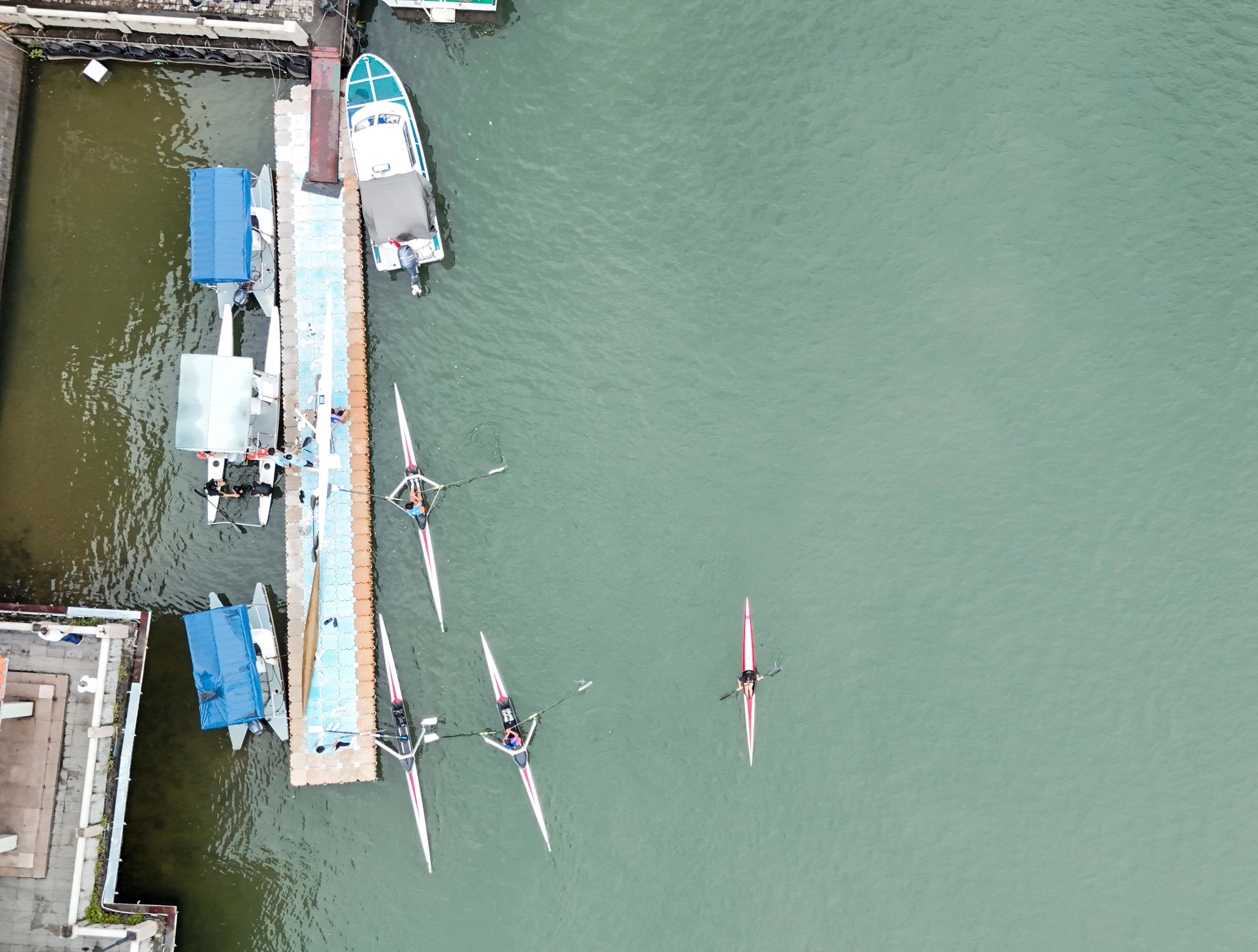 的好天气, 雄招生选材, 羊城晚报
